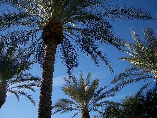 Scottsdale