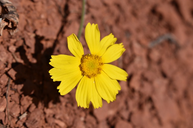 Sedona