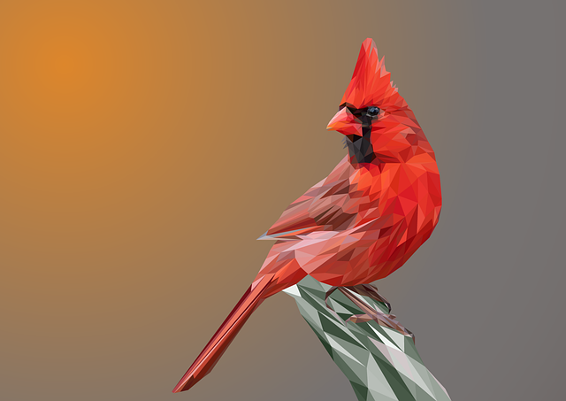 show-low-640x480-95083782.png
