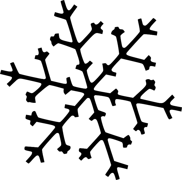 Snowflake