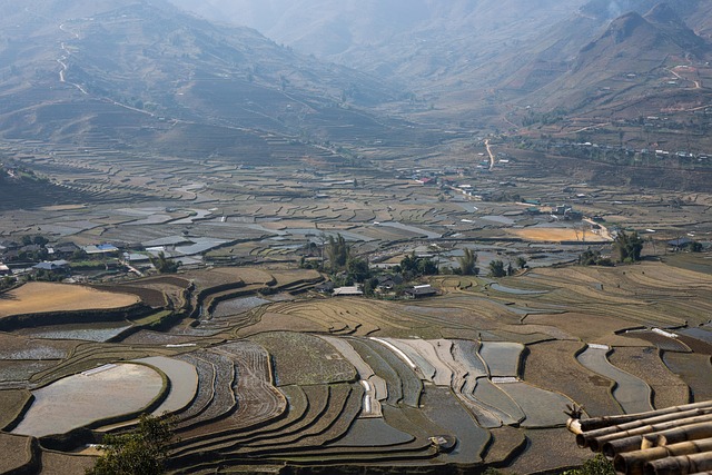 Star Valley