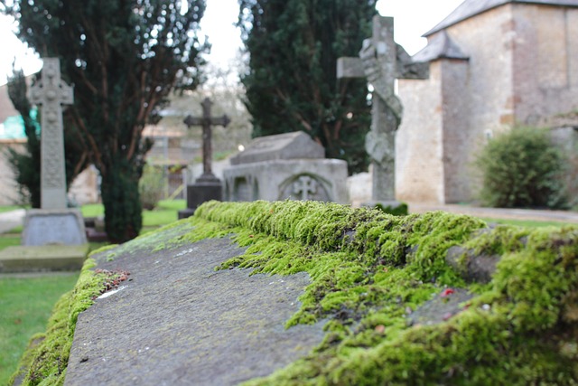 tombstone-640x480-16206899.jpeg