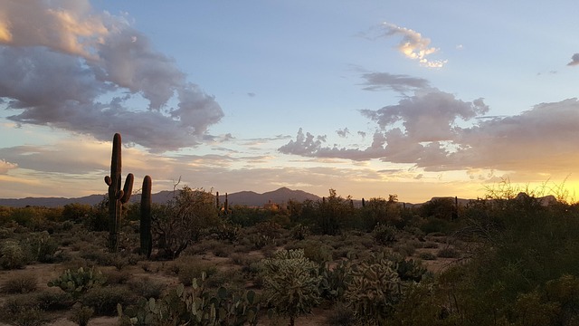 tucson-640x480-47852431.jpeg