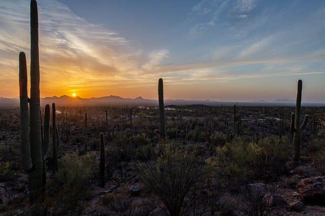 Tucson