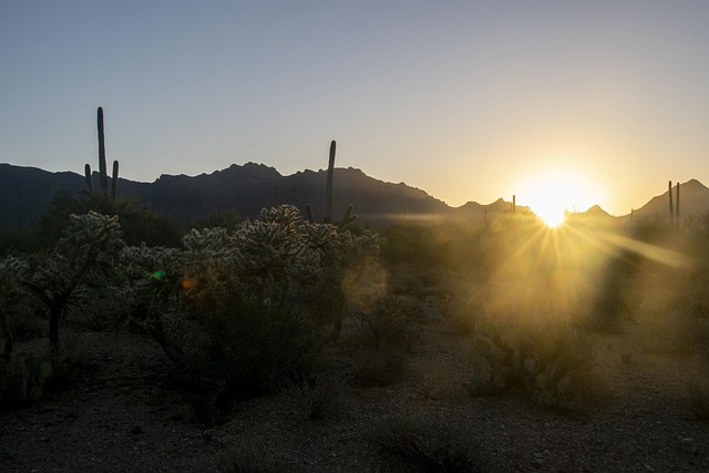 tucson-640x480-93929196.jpeg