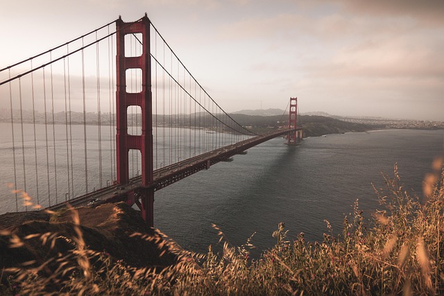 Bridge-Loans