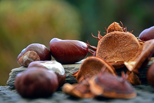 Buckeye