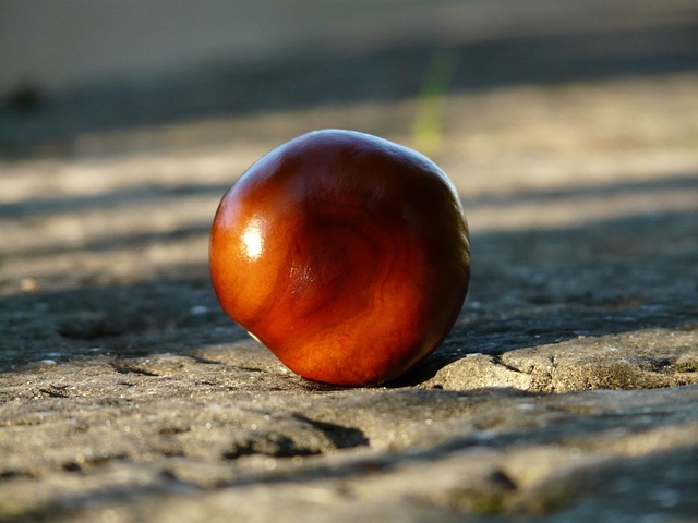Buckeye