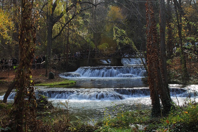 Camp Verde