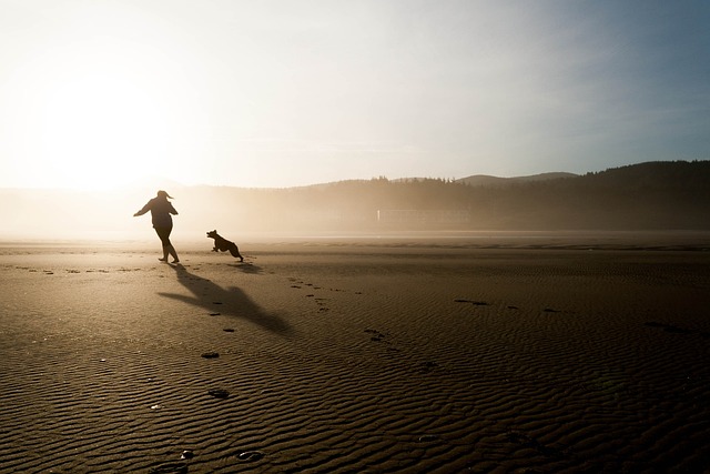 carefree-640x480-10786347.jpeg