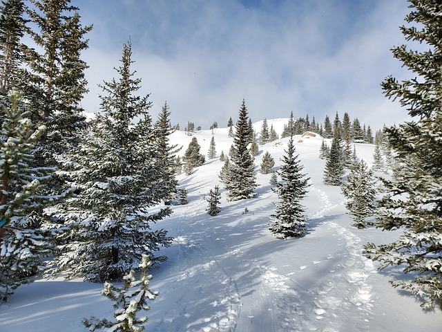 colorado-city-640x480-31087573.jpeg