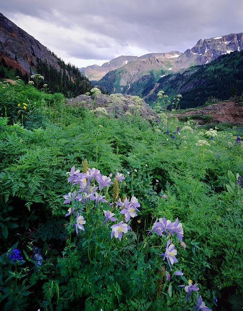 Colorado City