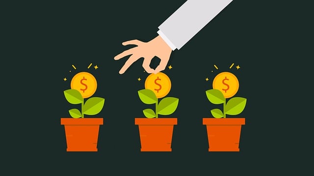 Optimize Financial Health: Divide Debt by Income in Real Estate