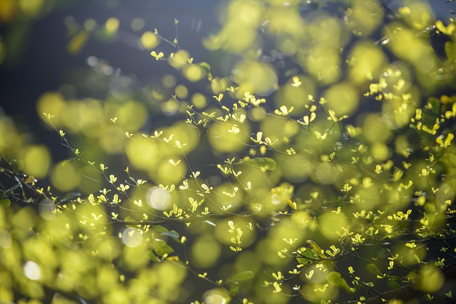 eco-landscaping-640x480-13890802.jpeg