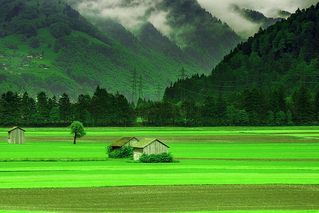 eco-landscaping-640x480-16109339.jpeg