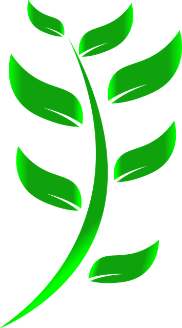 Eco-Landscaping