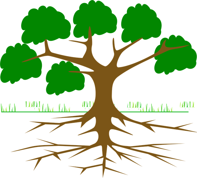 Eco-Landscaping