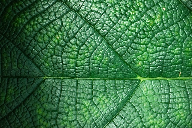 eco-landscaping-640x480-87908819.jpeg