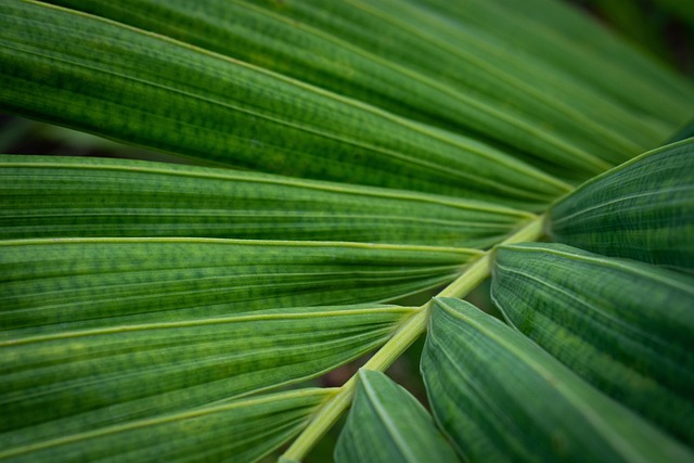 Eco-Landscaping