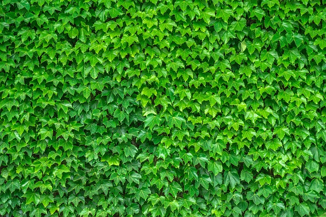 Eco-Landscaping