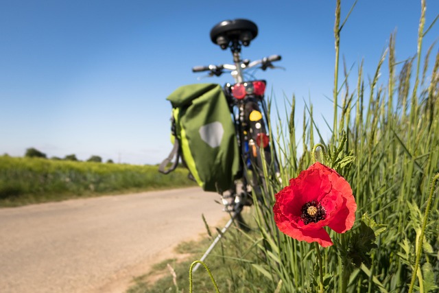 Economic-Cycles