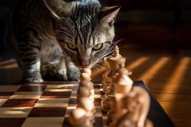 Exit-Strategies