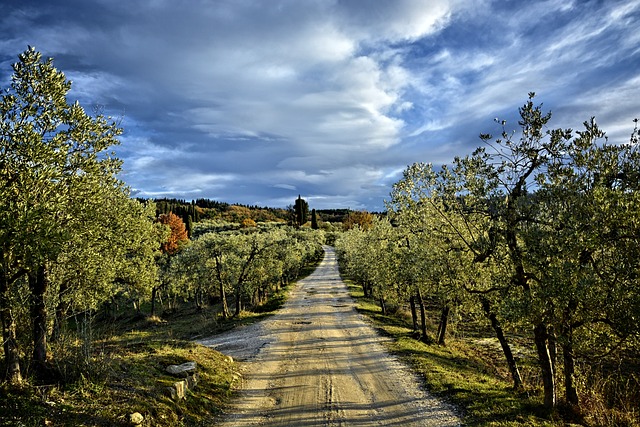 florence-640x480-37939864.jpeg