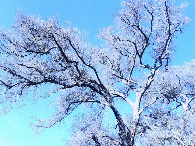 Gila County