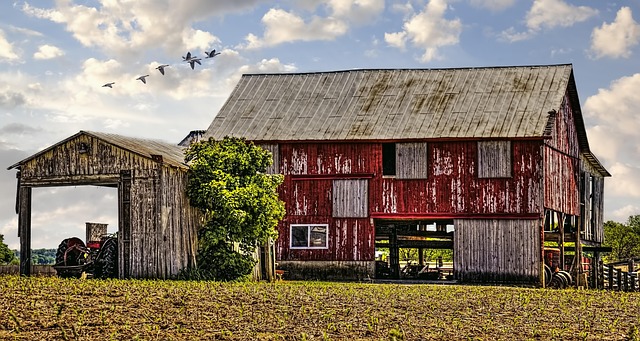 Graham County