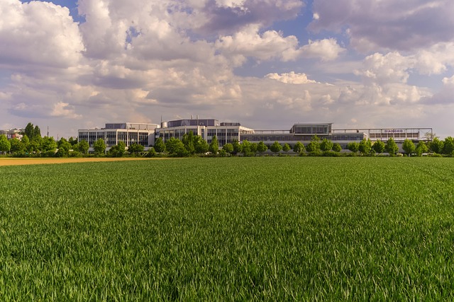 Green-Building