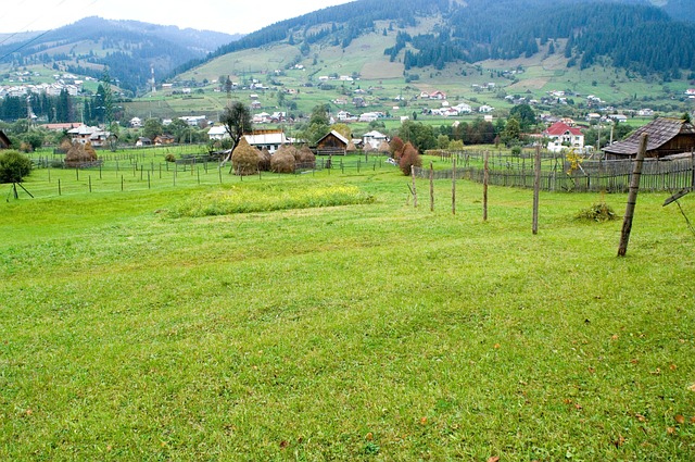 Green-Building