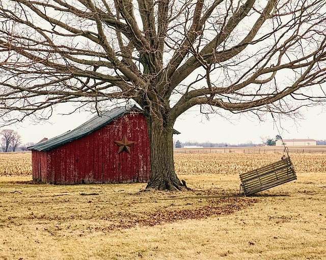 Real Estate Trends in Close-Knit Towns Supporting Workforce