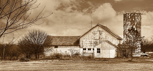 Greenlee County