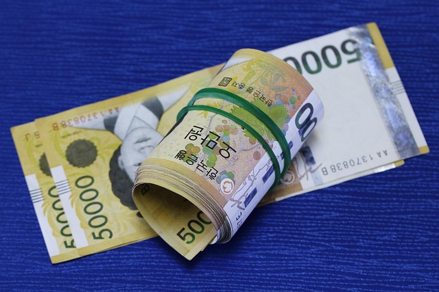 HELOC-Loan