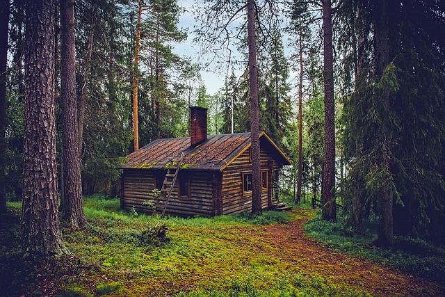 Home-Inspection