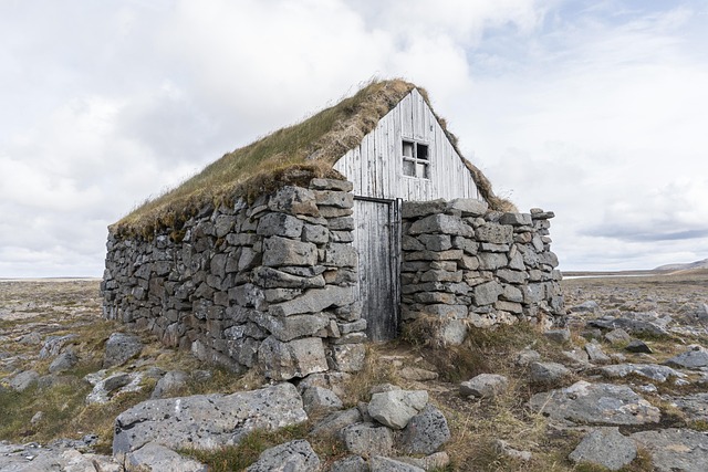 House-Flipping
