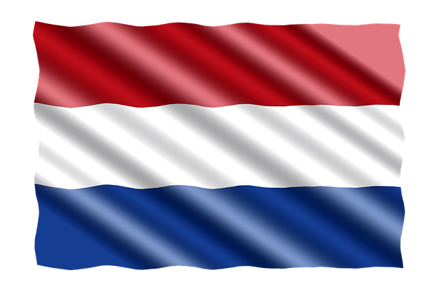 Unleash Real Estate Potential with Bilingual Agents