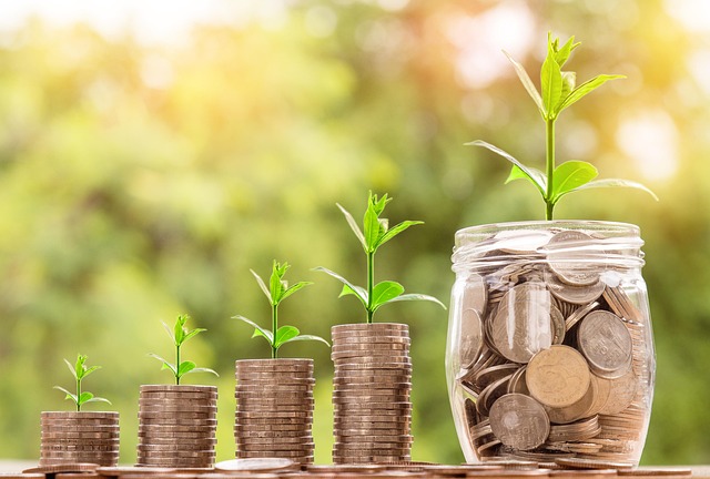 Investment-ROI