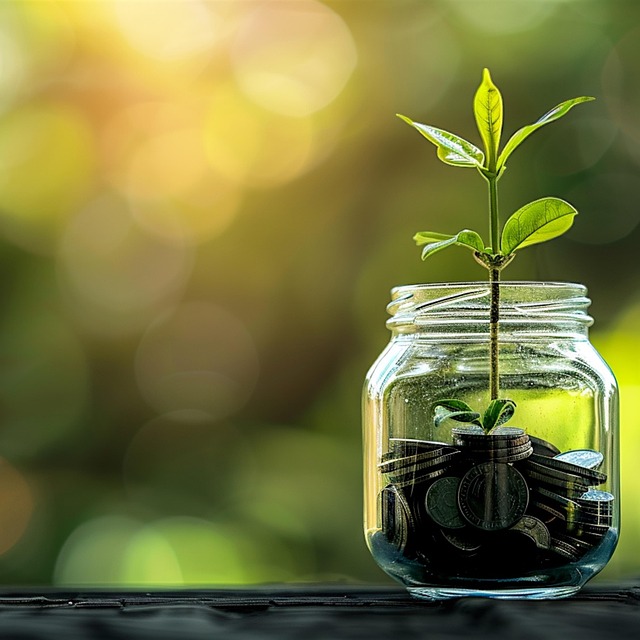 Investment-ROI