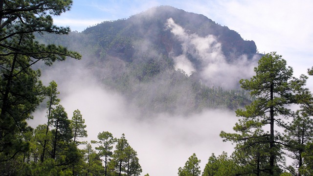 La Paz County