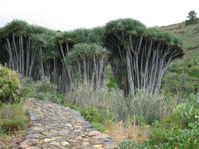 La Paz County