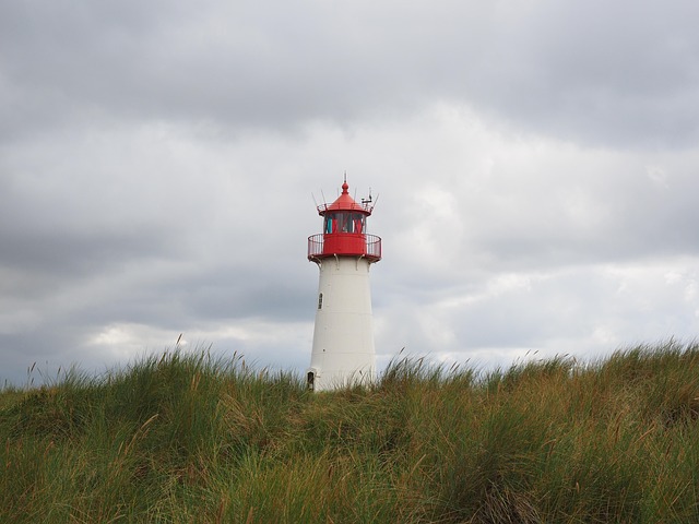 Listings-Portals