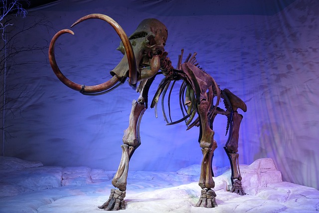 Mammoth