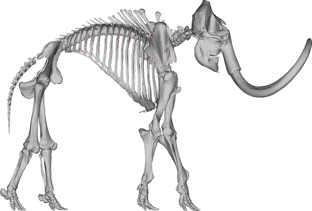 Mammoth