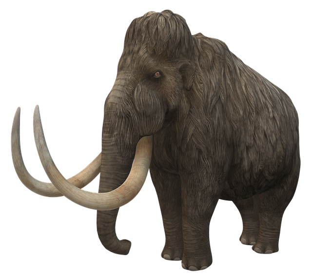 Mammoth
