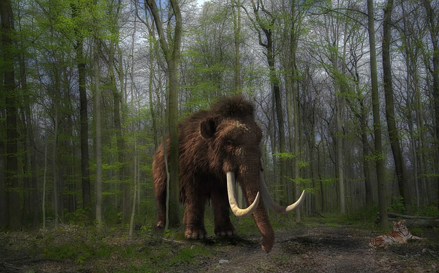 mammoth-640x480-82449444.jpeg