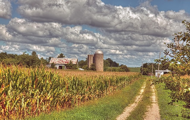 Freeways Connect Communities: Impact on Real Estate Markets