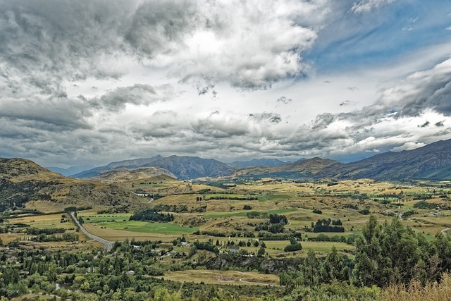 Real Estate Booms: Driving State Growth and Transforming Landscapes