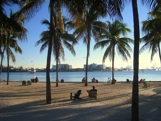 miami-640x480-38758862.jpeg