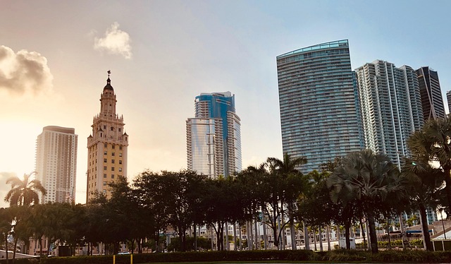 miami-640x480-42329156.jpeg